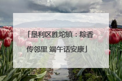 垦利区胜坨镇：粽香传邻里 端午话安康