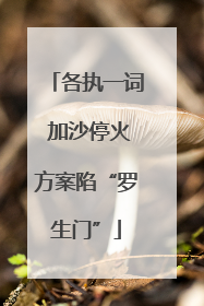 各执一词 加沙停火方案陷“罗生门”