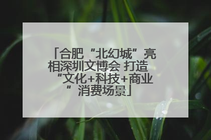 合肥“北幻城”亮相深圳文博会 打造“文化+科技+商业”消费场景