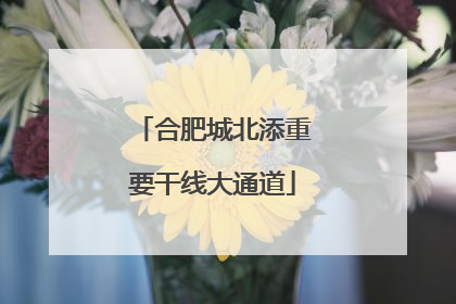 合肥城北添重要干线大通道