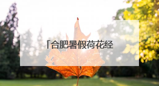 合肥暑假荷花经济红火 全国多地花艺文创销售旺