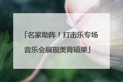 名家助阵！打击乐专场音乐会展现美育硕果