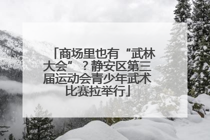 商场里也有“武林大会”？静安区第三届运动会青少年武术比赛拉举行