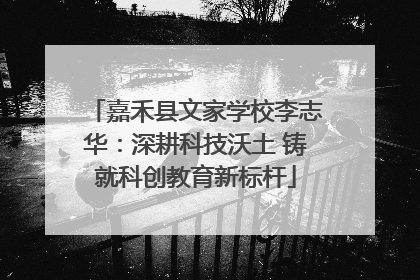 嘉禾县文家学校李志华：深耕科技沃土 铸就科创教育新标杆