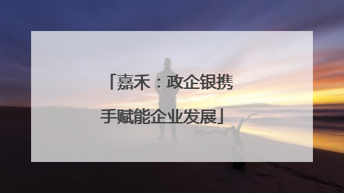 嘉禾：政企银携手赋能企业发展