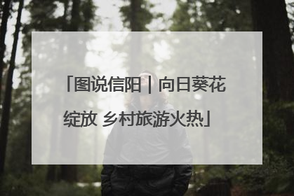 图说信阳｜向日葵花绽放 乡村旅游火热