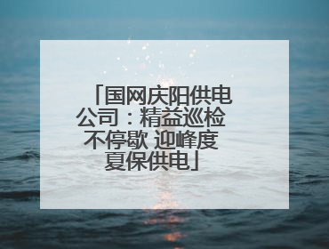 国网庆阳供电公司：精益巡检不停歇 迎峰度夏保供电