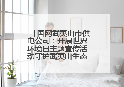 国网武夷山市供电公司：开展世界环境日主题宣传活动守护武夷山生态“高颜值”