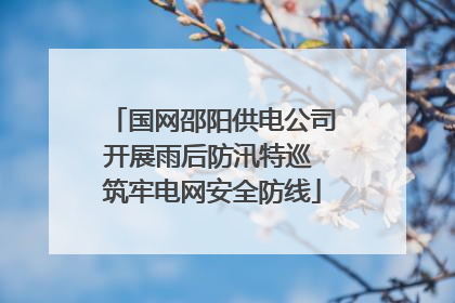 国网邵阳供电公司开展雨后防汛特巡 筑牢电网安全防线