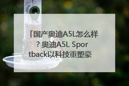 国产奥迪A5L怎么样？奥迪A5L Sportback以科技重塑豪华运动轿车市场格局
