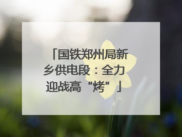 国铁郑州局新乡供电段：全力迎战高“烤”