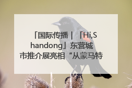 国际传播｜「Hi,Shandong」东营城市推介展亮相“从蒙马特到加里波第”文化节