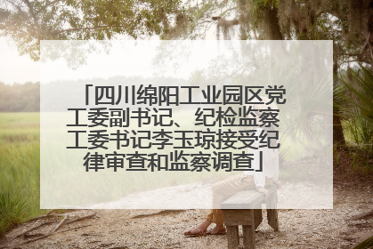 四川绵阳工业园区党工委副书记、纪检监察工委书记李玉琼接受纪律审查和监察调查