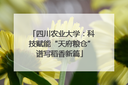 四川农业大学：科技赋能“天府粮仓”谱写稻香新篇