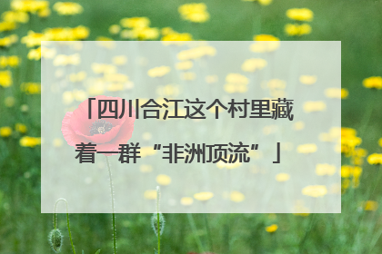 四川合江这个村里藏着一群“非洲顶流”