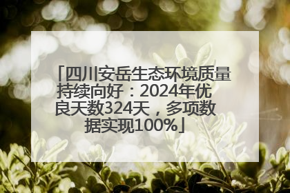 四川安岳生态环境质量持续向好：2024年优良天数324天，多项数据实现100%