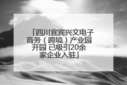 四川宜宾兴文电子商务（跨境）产业园开园 已吸引20余家企业入驻