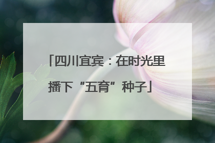 四川宜宾：在时光里播下“五育”种子