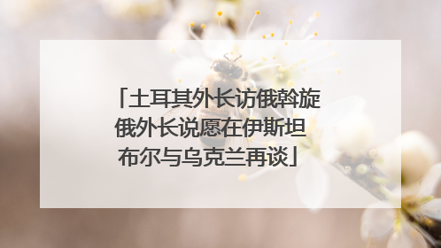 土耳其外长访俄斡旋 俄外长说愿在伊斯坦布尔与乌克兰再谈