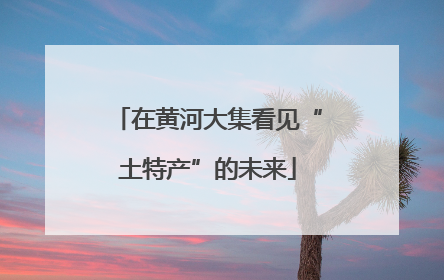 在黄河大集看见“土特产”的未来