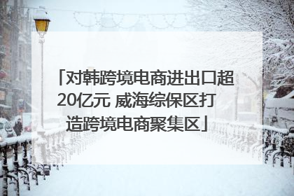 对韩跨境电商进出口超20亿元 威海综保区打造跨境电商聚集区