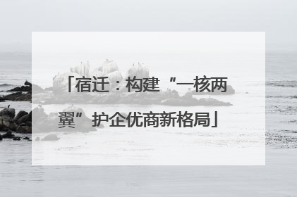 宿迁：构建“一核两翼”护企优商新格局