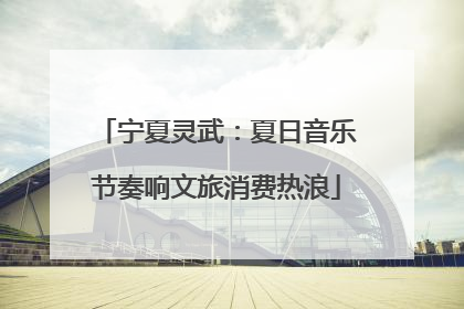 宁夏灵武：夏日音乐节奏响文旅消费热浪