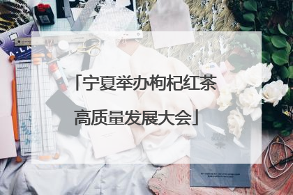 宁夏举办枸杞红茶高质量发展大会