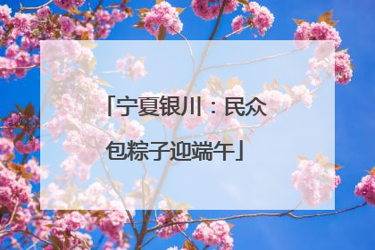 宁夏银川：民众包粽子迎端午
