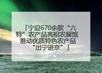 宁夏670余款“六特”农产品亮相农展馆 推动优质特色农产品“出宁进京”