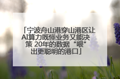 宁波舟山港穿山港区让AI算力既懂业务又能决策 20年的数据“喂”出更聪明的港口