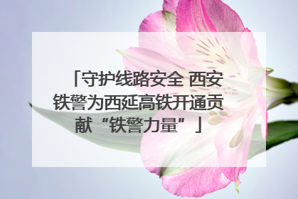 守护线路安全 西安铁警为西延高铁开通贡献“铁警力量”