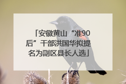 安徽黄山“准90后”干部洪国华拟提名为副区县长人选