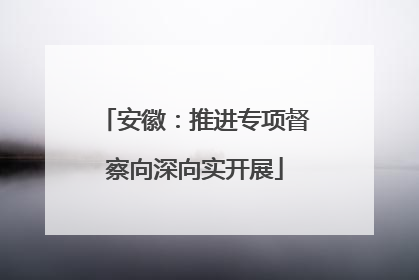 安徽：推进专项督察向深向实开展