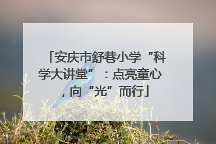 安庆市舒巷小学“科学大讲堂”：点亮童心，向“光”而行