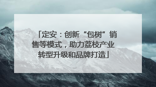 定安：创新“包树”销售等模式，助力荔枝产业转型升级和品牌打造