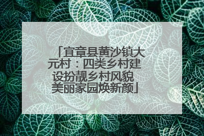 宜章县黄沙镇大元村：四类乡村建设扮靓乡村风貌 美丽家园焕新颜
