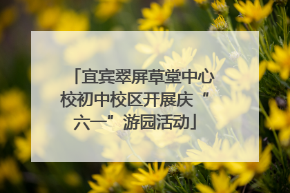 宜宾翠屏草堂中心校初中校区开展庆“六一”游园活动