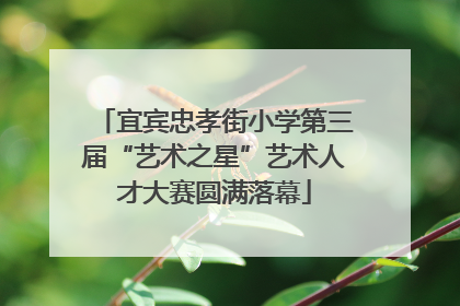 宜宾忠孝街小学第三届“艺术之星”艺术人才大赛圆满落幕