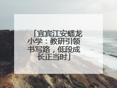 宜宾江安蟠龙小学：教研引领书写路，低段成长正当时