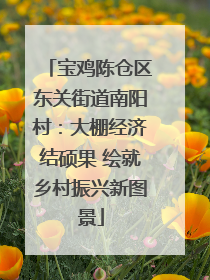 宝鸡陈仓区东关街道南阳村：大棚经济结硕果 绘就乡村振兴新图景