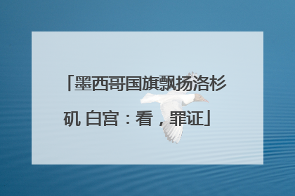 墨西哥国旗飘扬洛杉矶 白宫：看，罪证