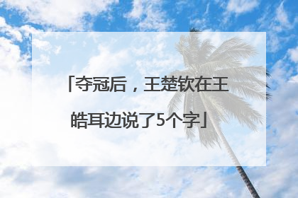 夺冠后，王楚钦在王皓耳边说了5个字