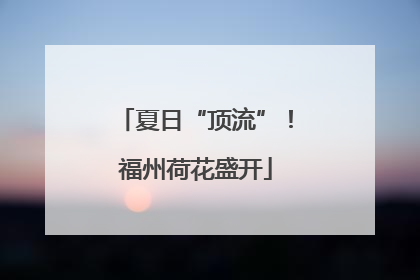 夏日“顶流”！福州荷花盛开