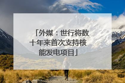 外媒：世行将数十年来首次支持核能发电项目