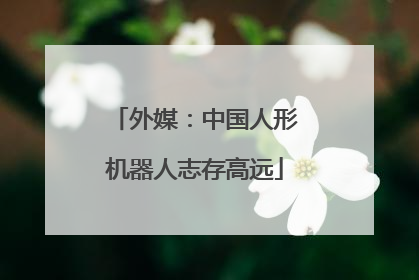外媒：中国人形机器人志存高远
