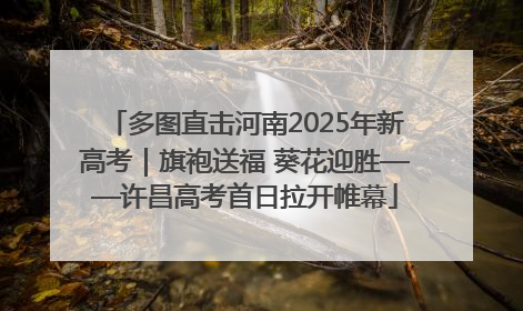 多图直击河南2025年新高考｜旗袍送福 葵花迎胜——许昌高考首日拉开帷幕