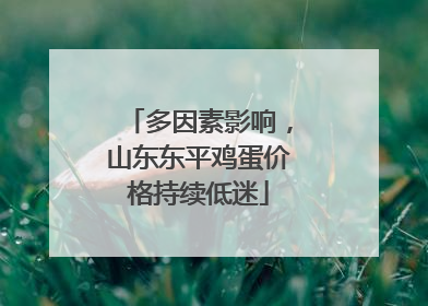多因素影响，山东东平鸡蛋价格持续低迷