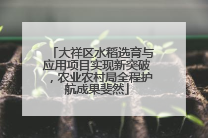 大祥区水稻选育与应用项目实现新突破，农业农村局全程护航成果斐然