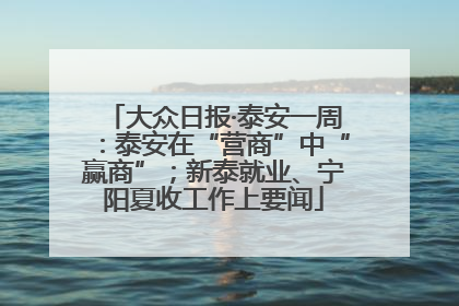 大众日报·泰安一周：泰安在“营商”中“赢商”；新泰就业、宁阳夏收工作上要闻